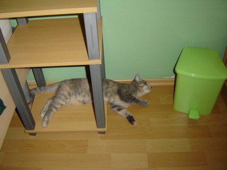 Akákoľvek ležiaca poloha je pohodlná :)