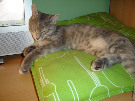 Celkom dobrá opierka hlavy