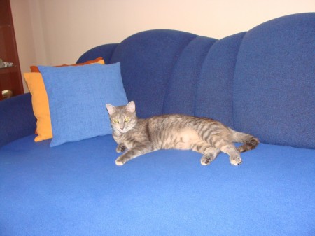 Ešte stále sa válam, záviď! ;-)