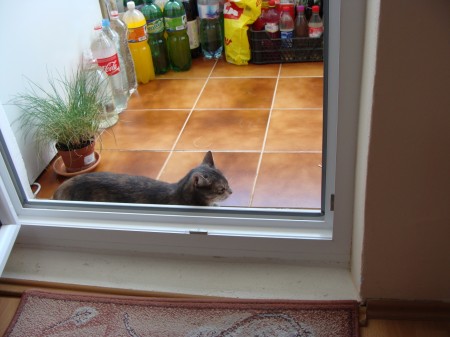 Nepustím nikoho dnu ani von :-)